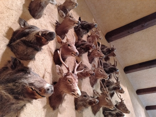 神長官守矢史料館（じんちょうかんもりやしりょうかん）内観2