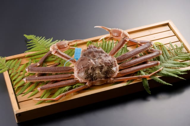 石川県のズワイガニ