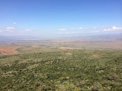 ケニア・マサイマラ国立保護区の行き方