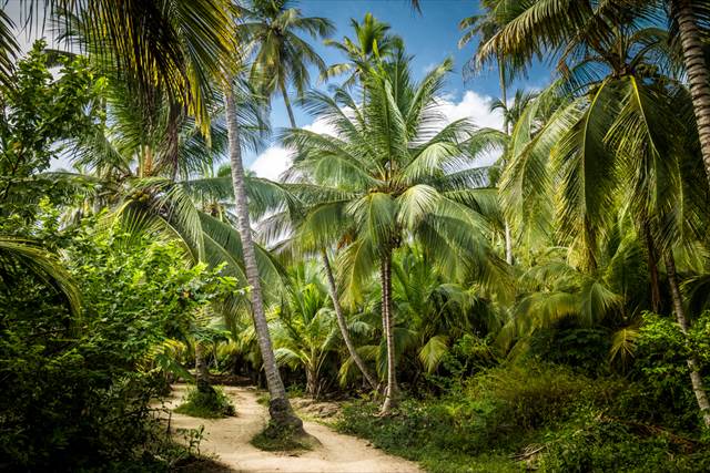 格安リゾート！コロンビアのカリブ海「サンタマルタ」に行くべき５つの理由