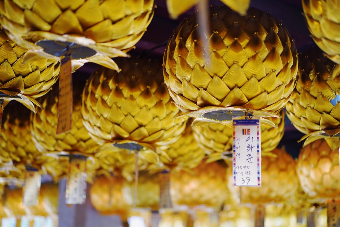 桐華寺（とうかじ）