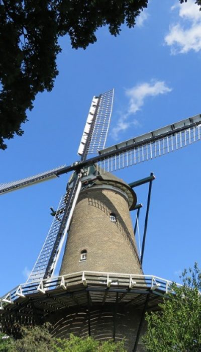 子連れで楽しめる、オランダの観光スポット