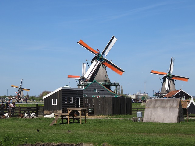 子連れで楽しめる、オランダの観光スポット