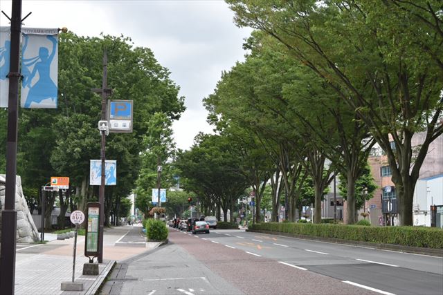 日本のノーベル街道って知ってる？富山から飛騨を貫く夢の国道ツアー