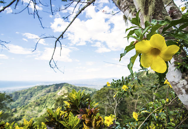 150827_costaricazoo_01