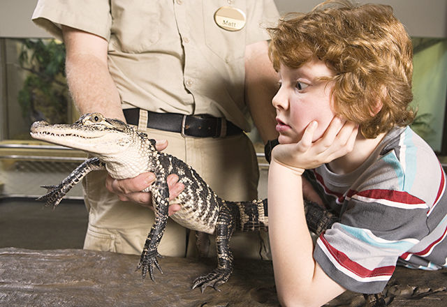 150827_costaricazoo_03