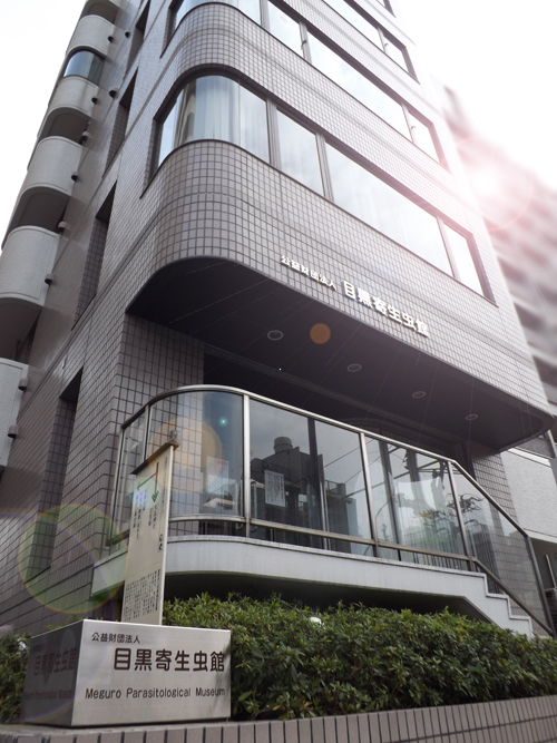 寄生虫に炭坑体験まで！「日本の特徴的な博物館」５つ