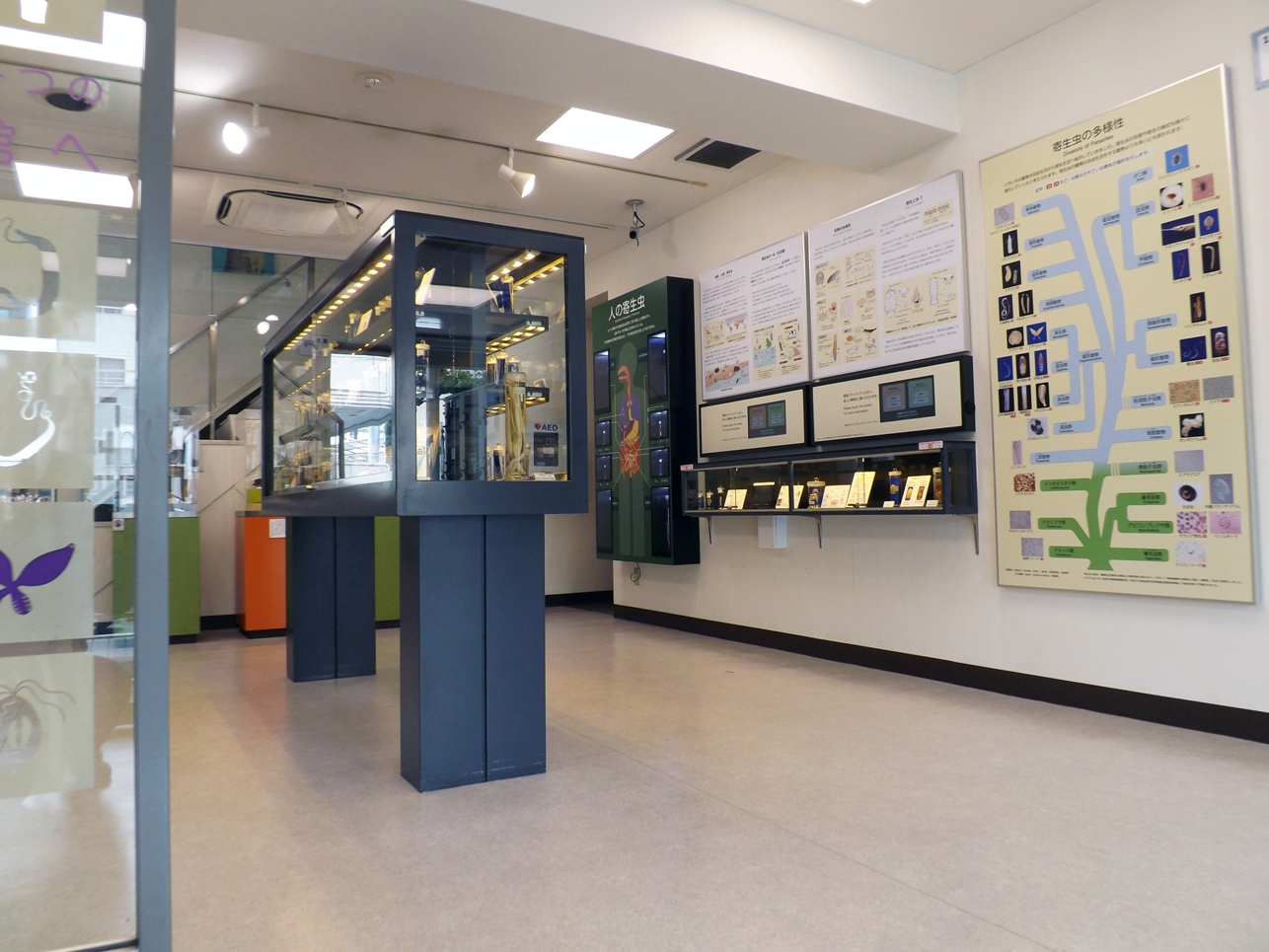 寄生虫に炭坑体験まで！「日本の特徴的な博物館」５つ