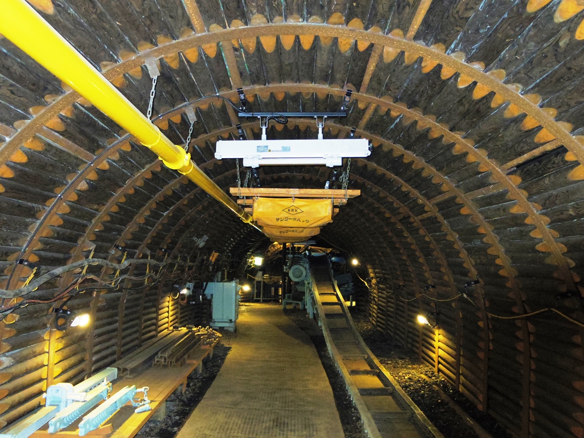 寄生虫に炭坑体験まで！「日本の特徴的な博物館」５つ