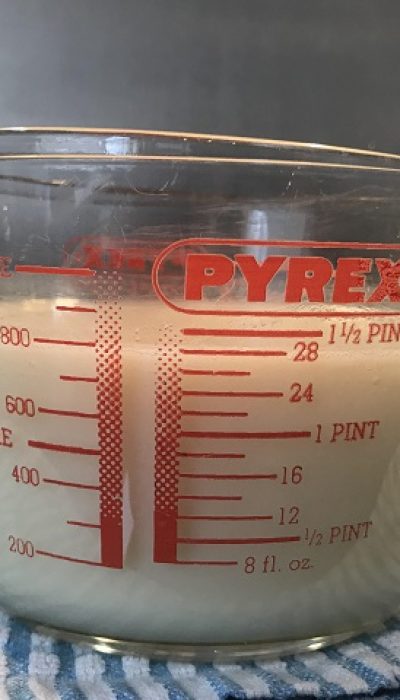 【TABIZINE自由研究部】自家製カルピス風ドリンクを自分で作ろう！