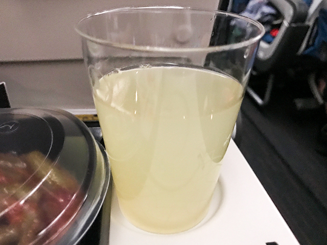 【機内食ルポ】美味しいと評判！成田〜イスタンブール「ターキッシュエアライン」エコノミークラス