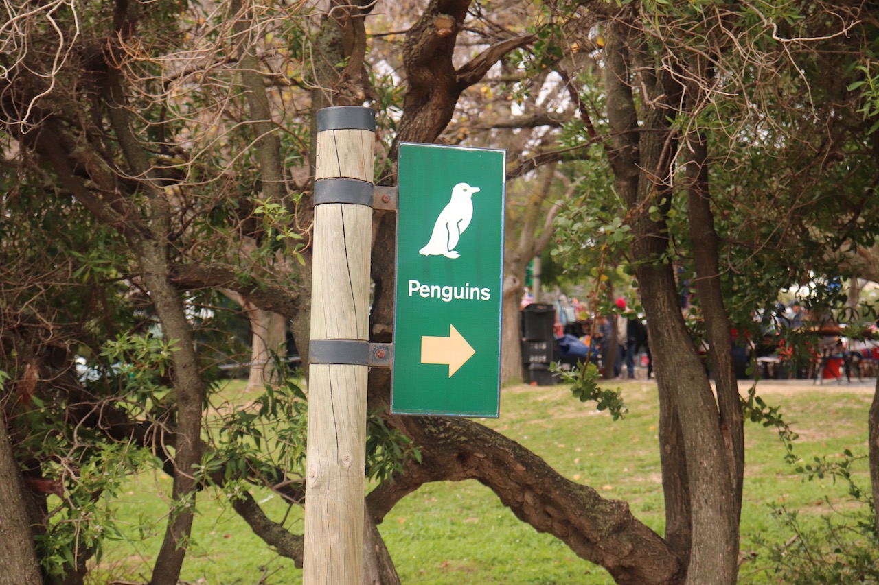 ペンギン入り口