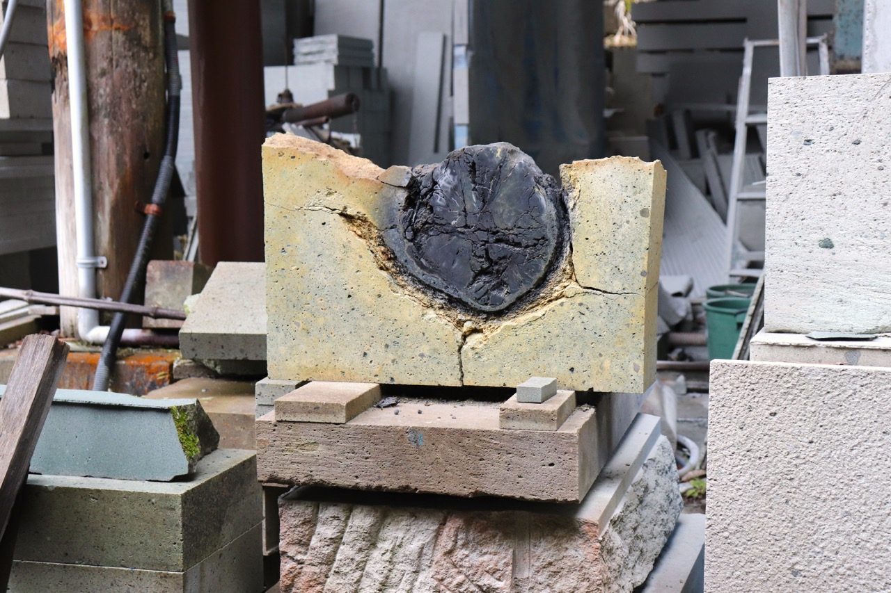 滝ヶ原石切り場の木の幹の化石