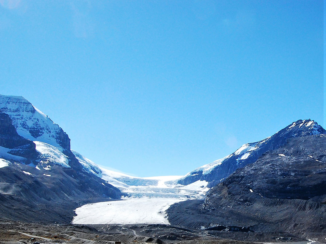 アサバスカ氷河(Athabasca Glacier)
