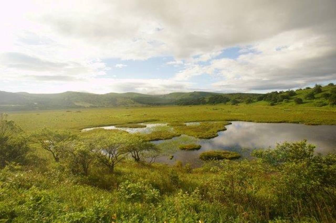 八島湿原
