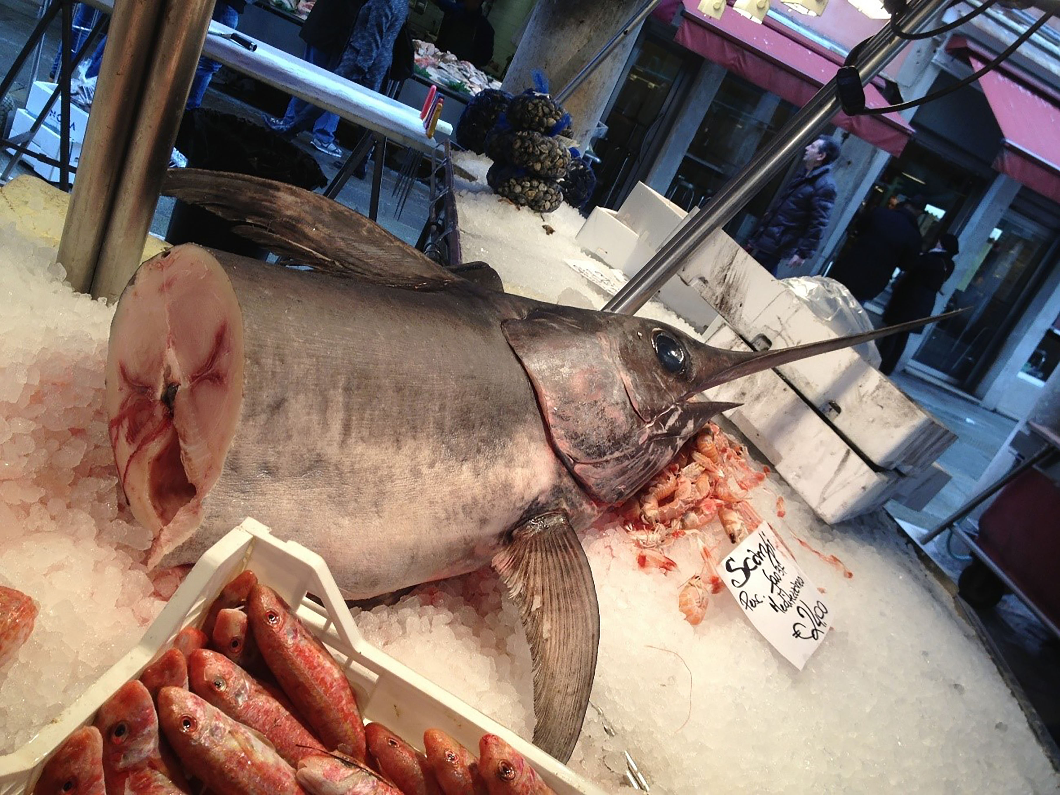 ベネチア魚市場1