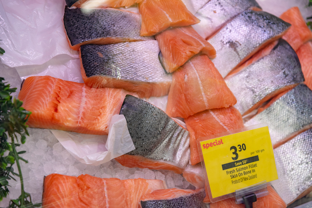 ニュージーランド　サーモン