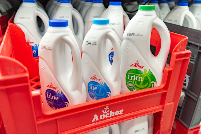 ニュージーランド 牛乳