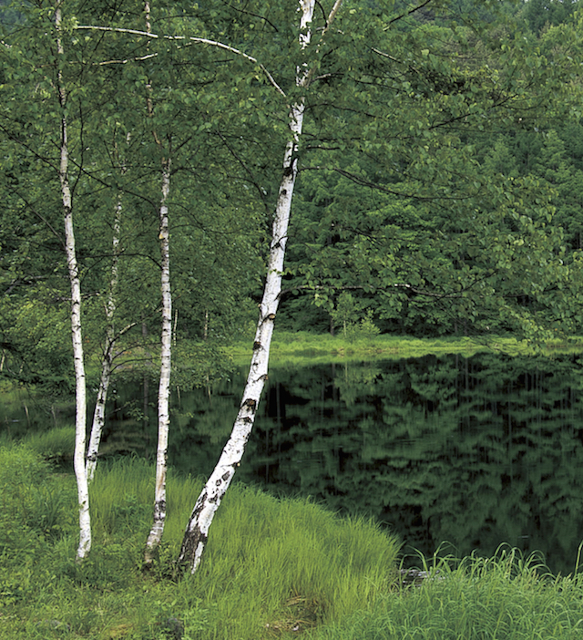 御射鹿池・八ヶ岳中信高原国定公園（茅野市）