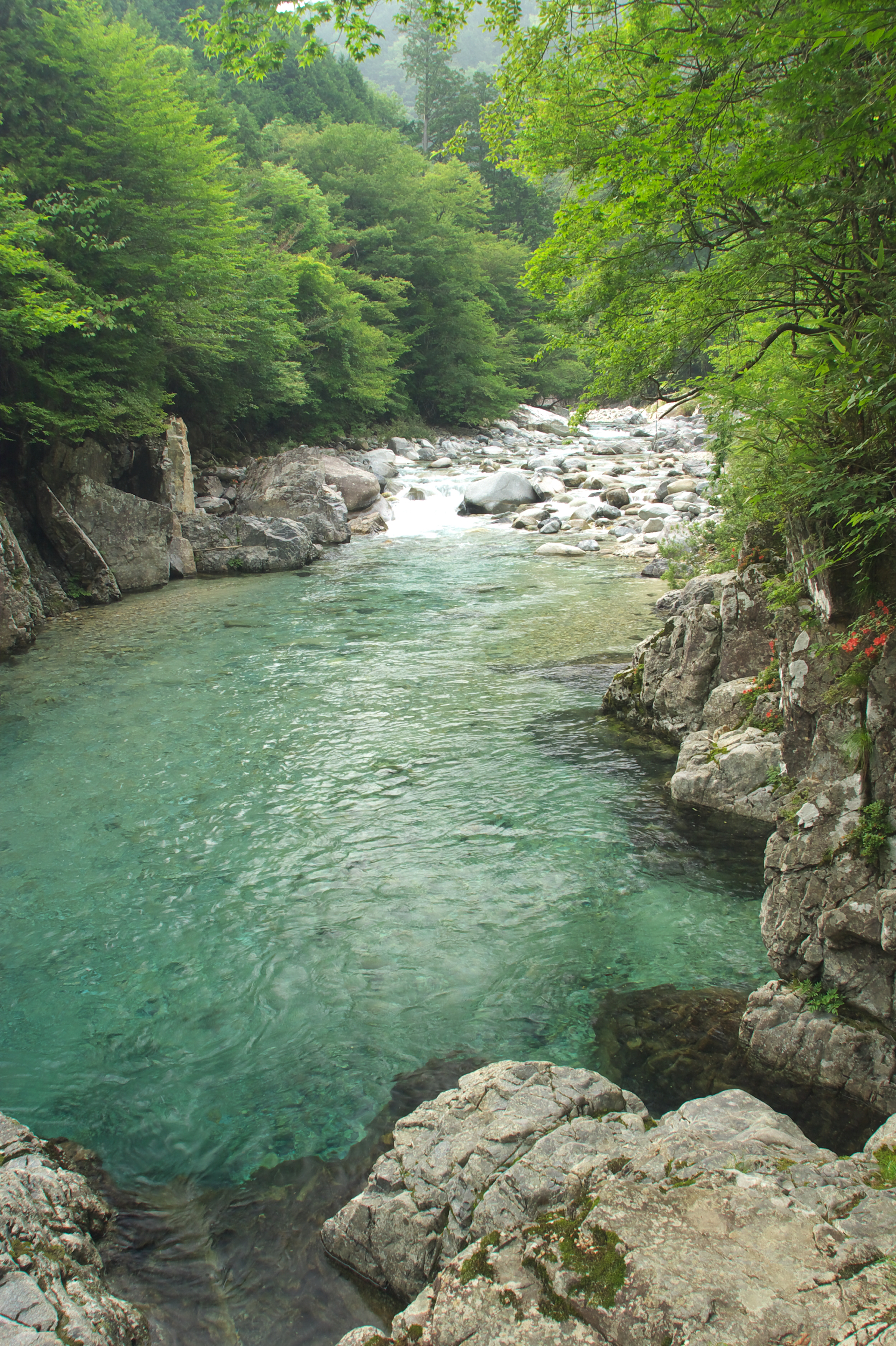 阿寺渓谷（大桑村）