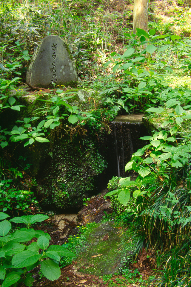 猿倉の泉（名水）