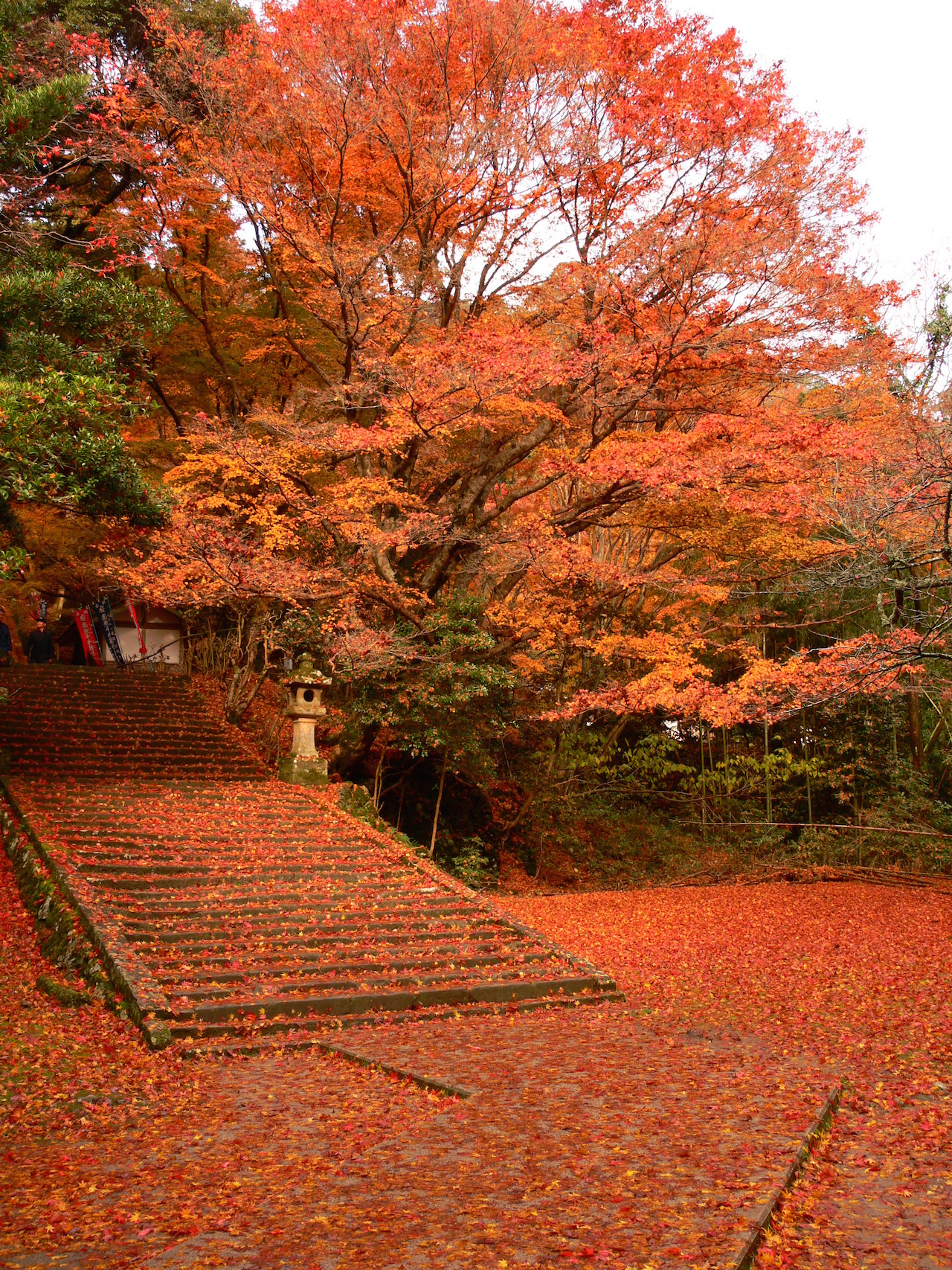 鰐淵寺1