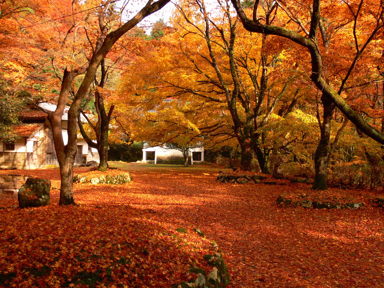 鰐淵寺　2