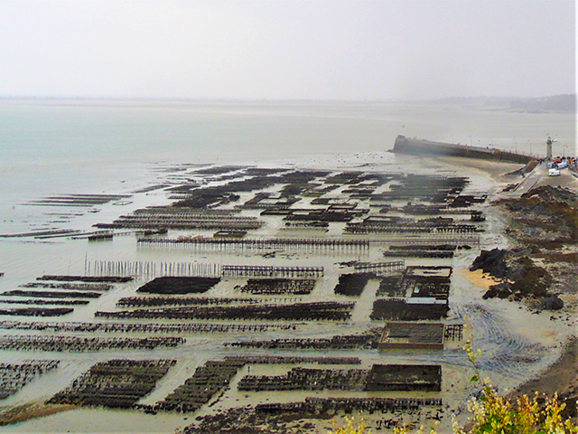 カンカル Cancale