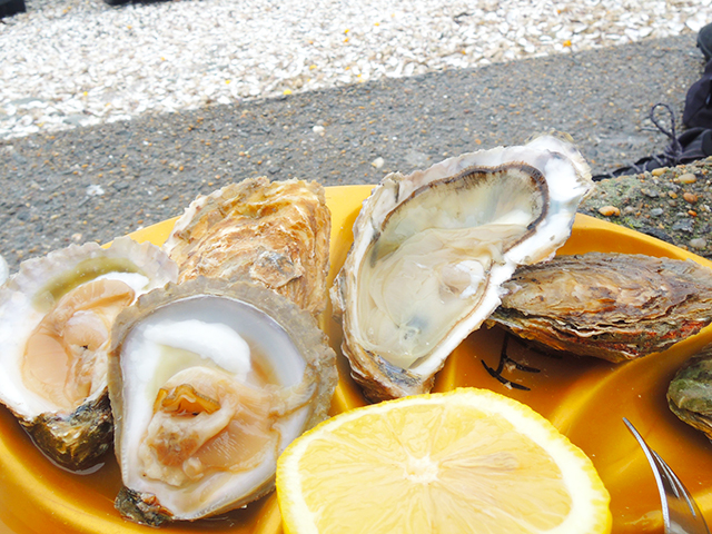 Marché aux Huîtres de Cancale カンカル牡蠣市場