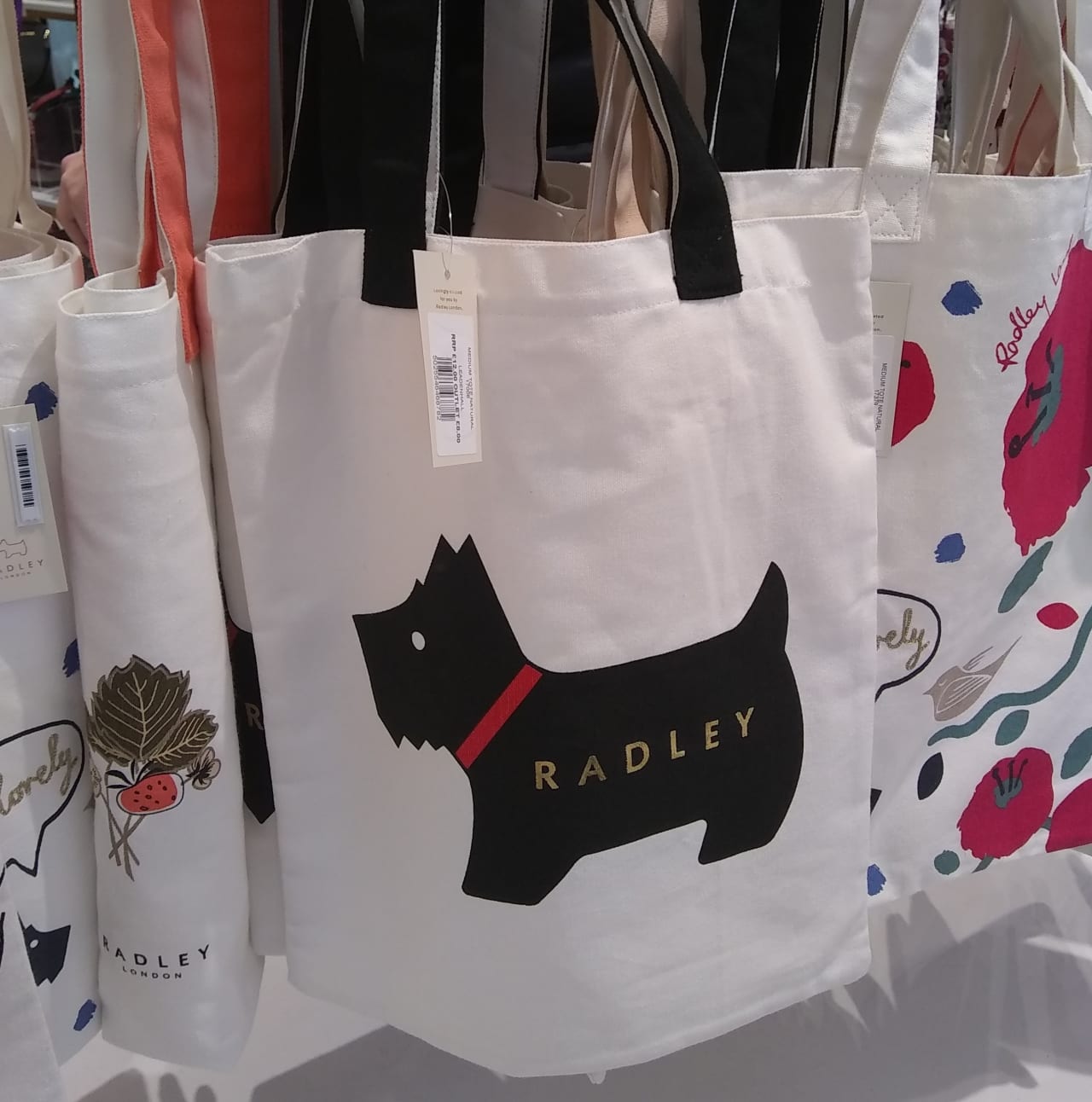 ラドリーのエコバッグ
