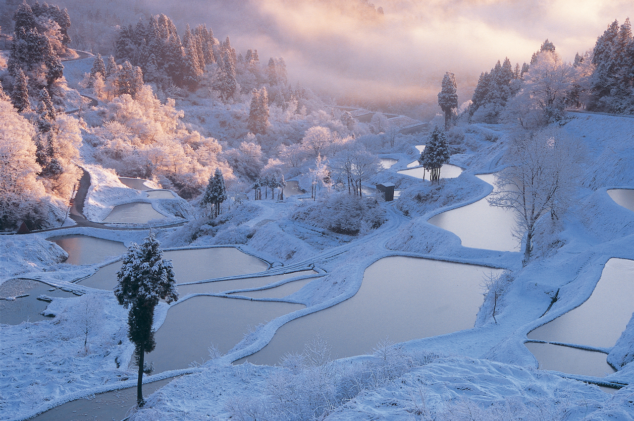 雪の棚田