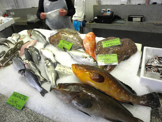 魚市場の魚