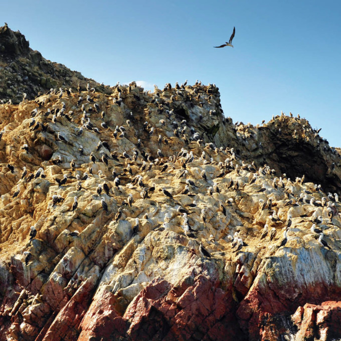 バジェスタス島