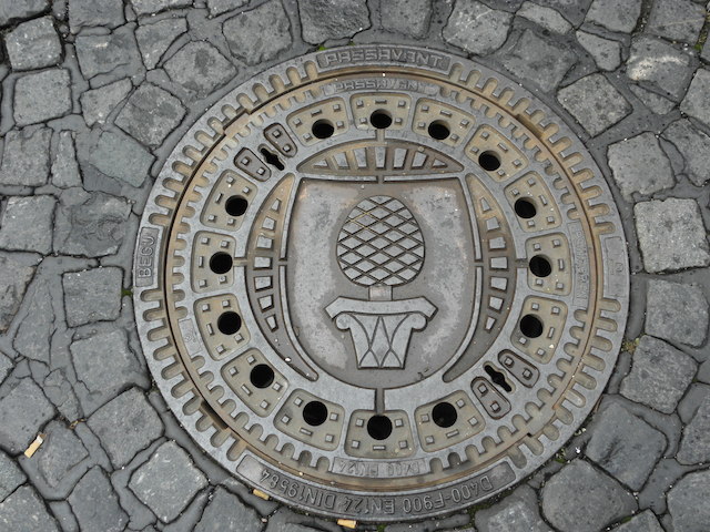 マンホールの松の実