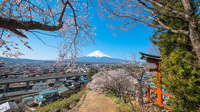 山梨県「新倉山浅間公園」