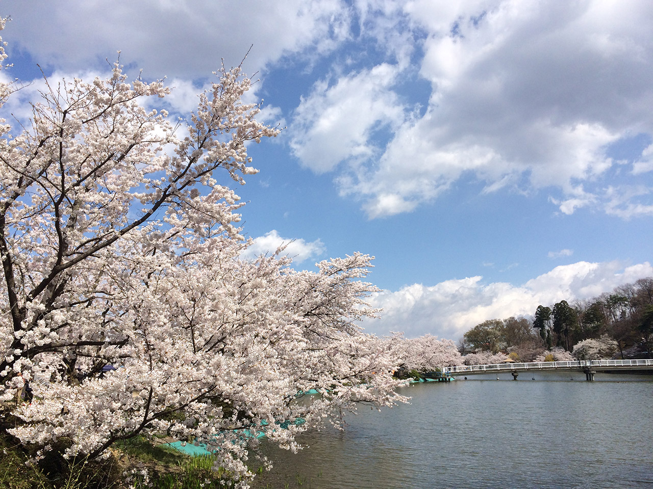 長野県須坂市「臥竜公園」