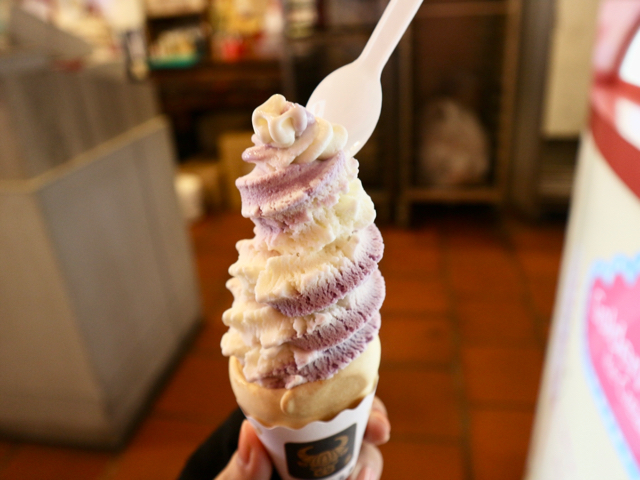 ヨーグルトブルーベリー