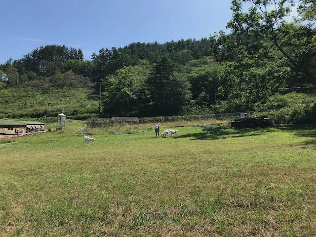 山梨県北杜市ROOSTER