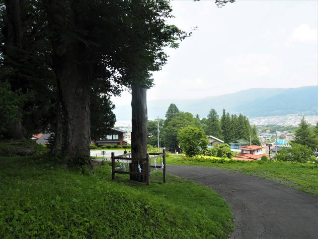 諏訪の街を見おろす