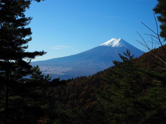 富士山を仰ぐ