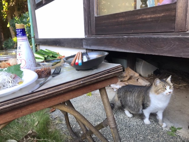 食べて、飲んで、旅をして4熱海