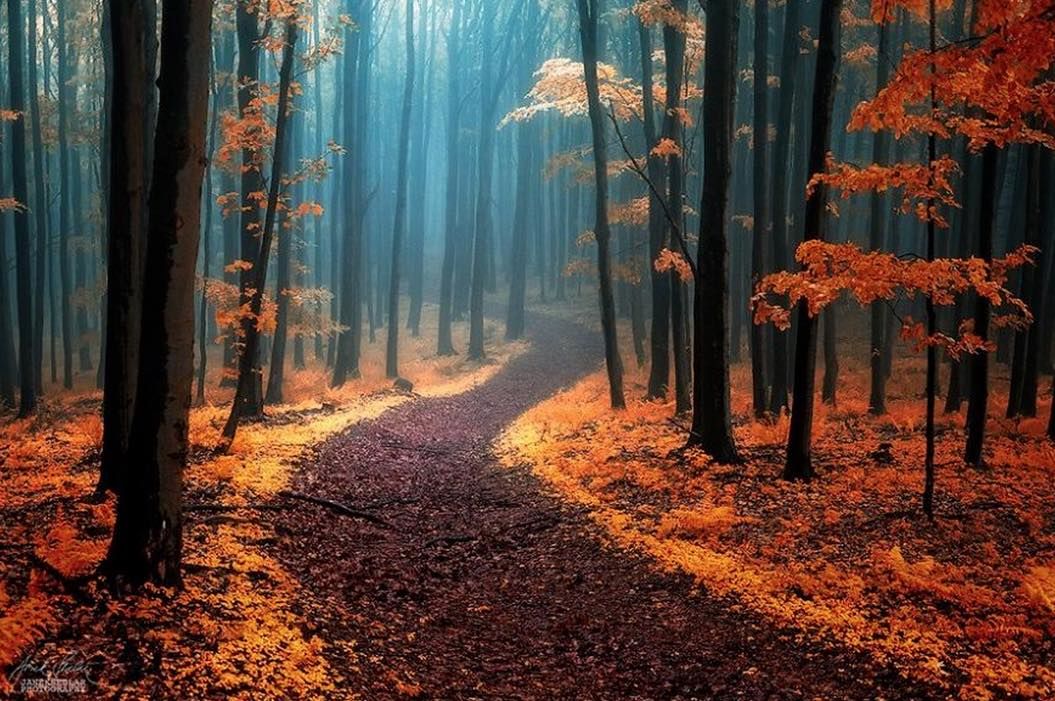 th_スクリーンショット 2015-10-08 20.27.01