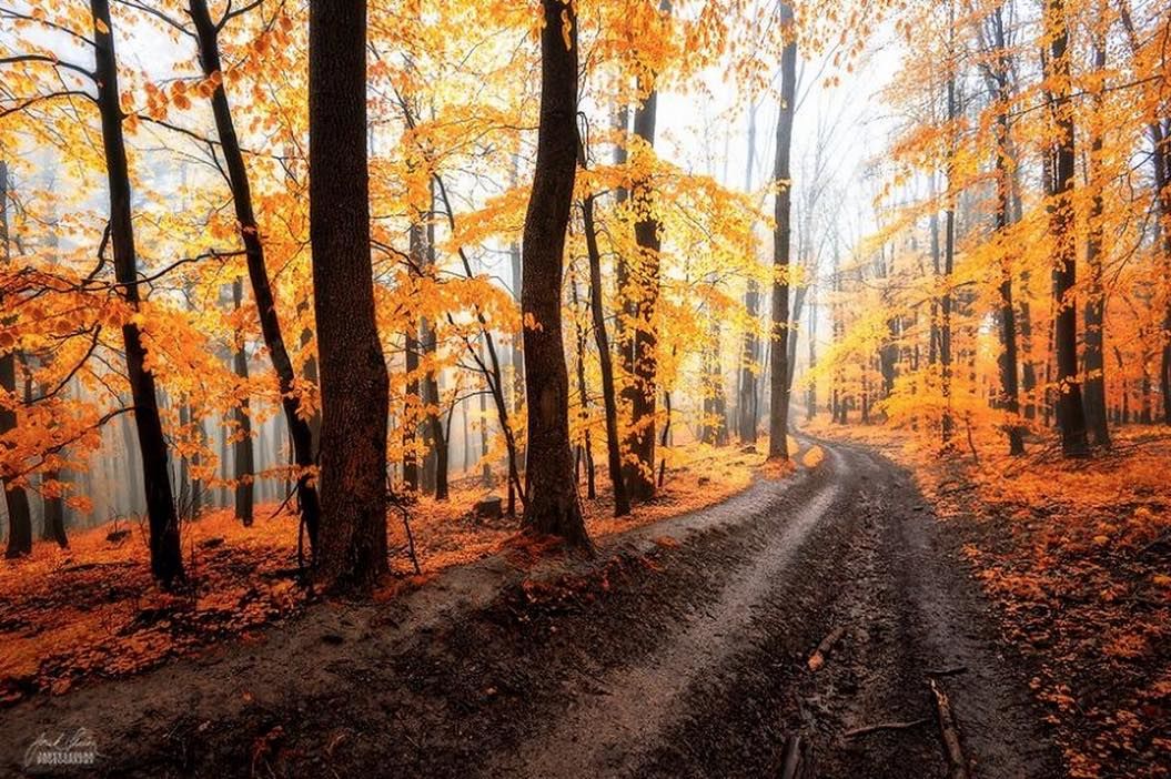 th_スクリーンショット 2015-10-08 20.30.08