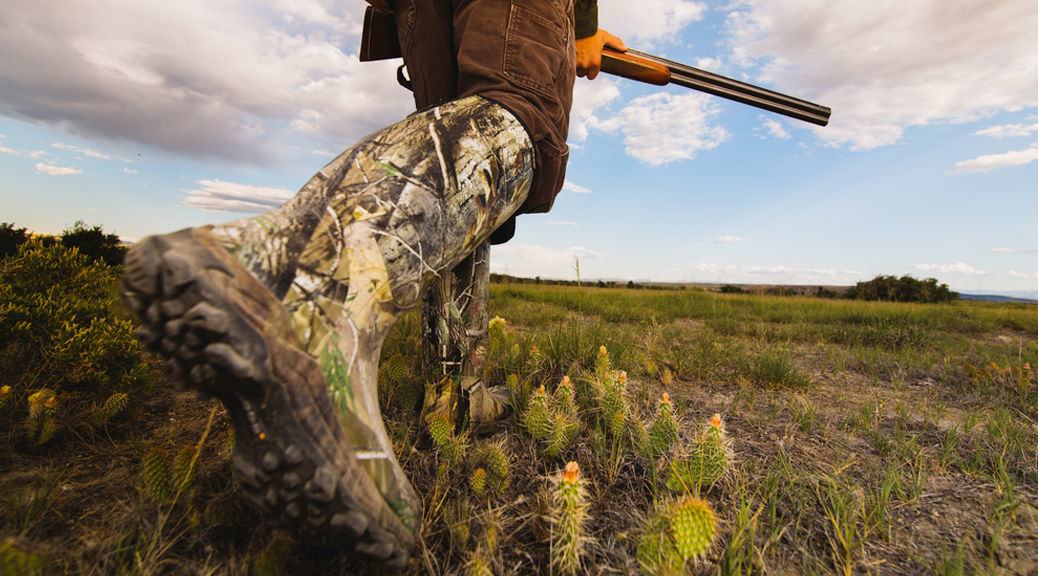 b87be46adc9a94c4c378ff0572-1038x576