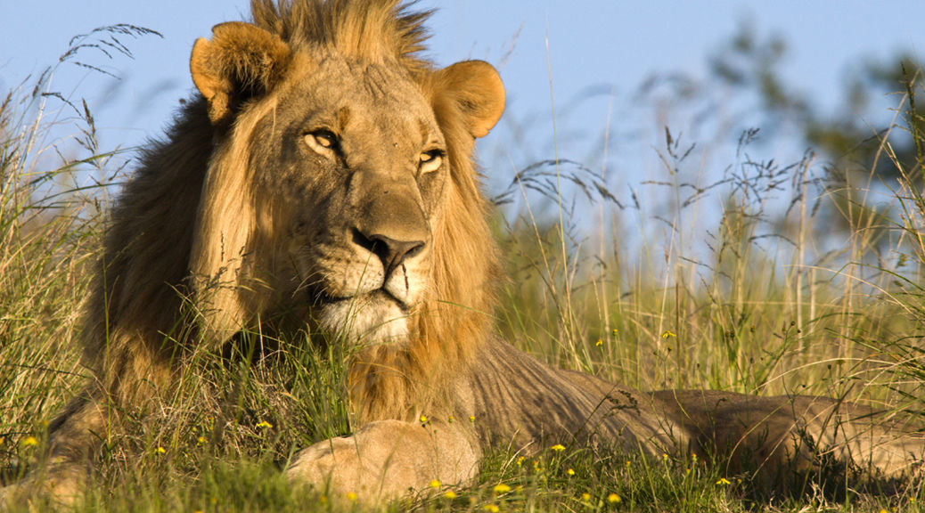 b87be46c378ff0572-1038x576