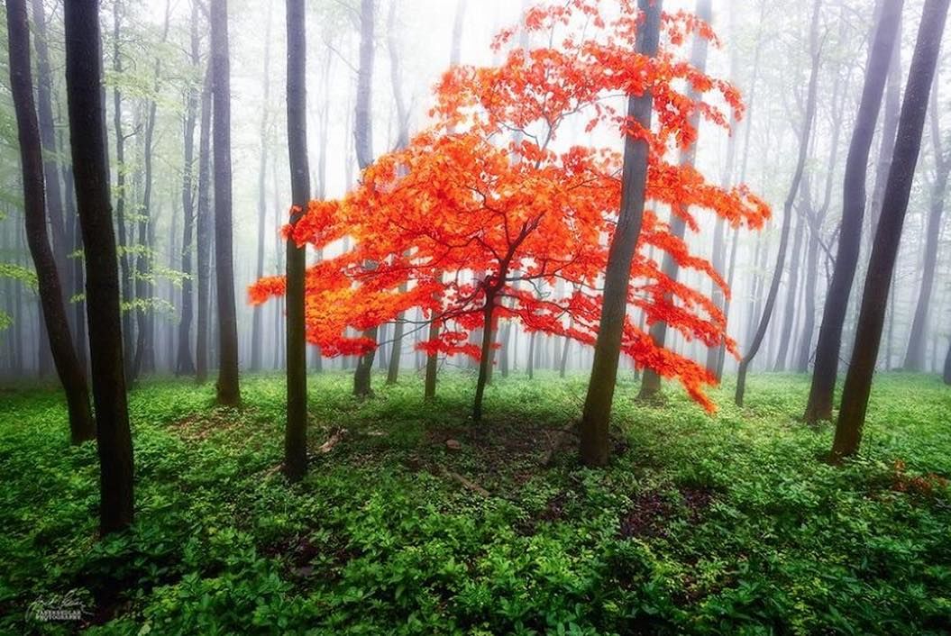 th_スクリーンショット 2015-10-08 20.29.26