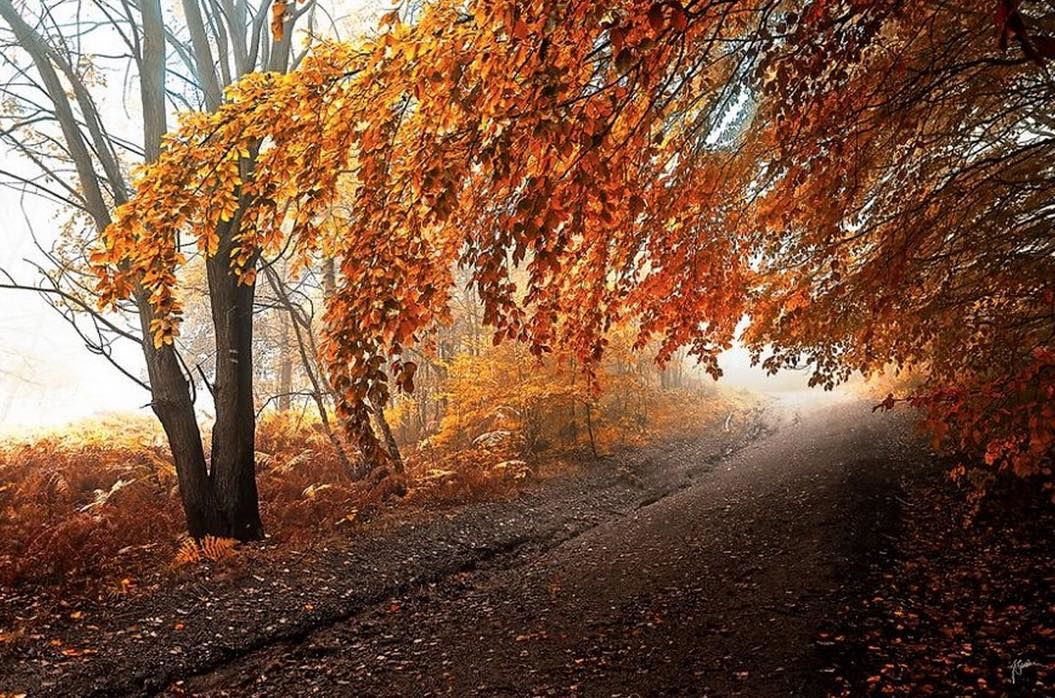 th_スクリーンショット 2015-10-08 20.31.22