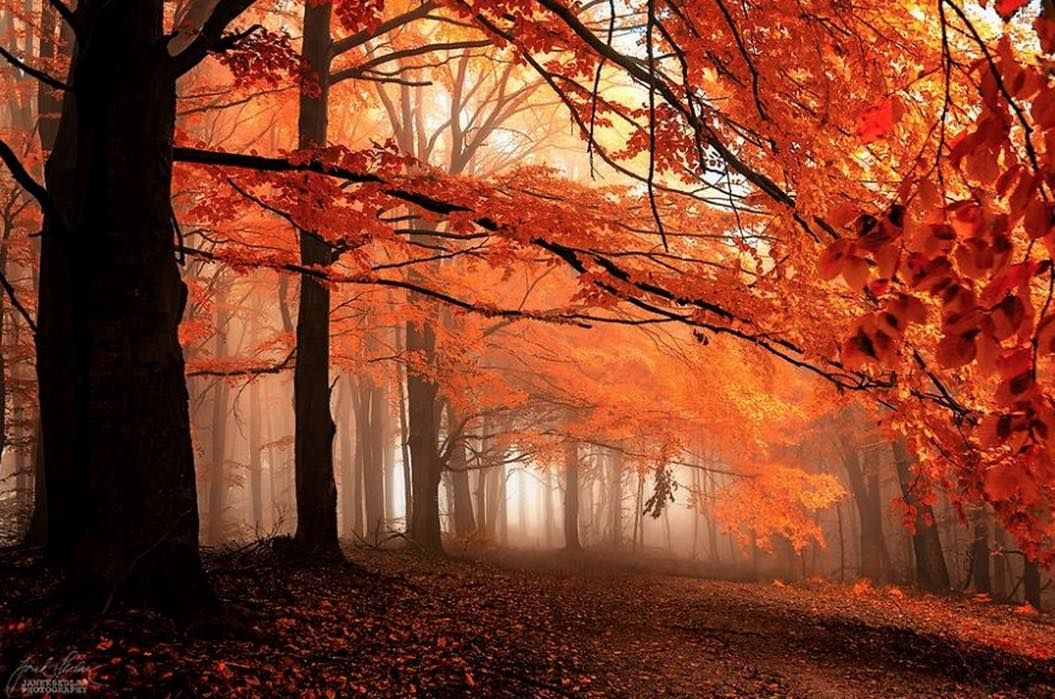 th_スクリーンショット 2015-10-08 20.27.10