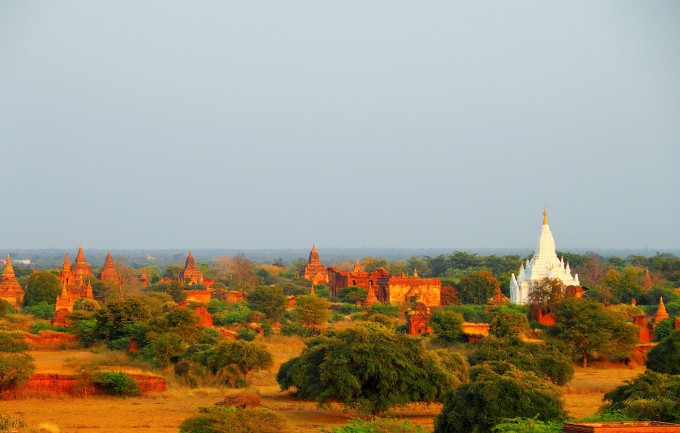 P2090828 (3)
