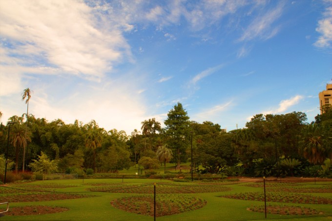 ブリスベン・シティ・ボタニックガーデン